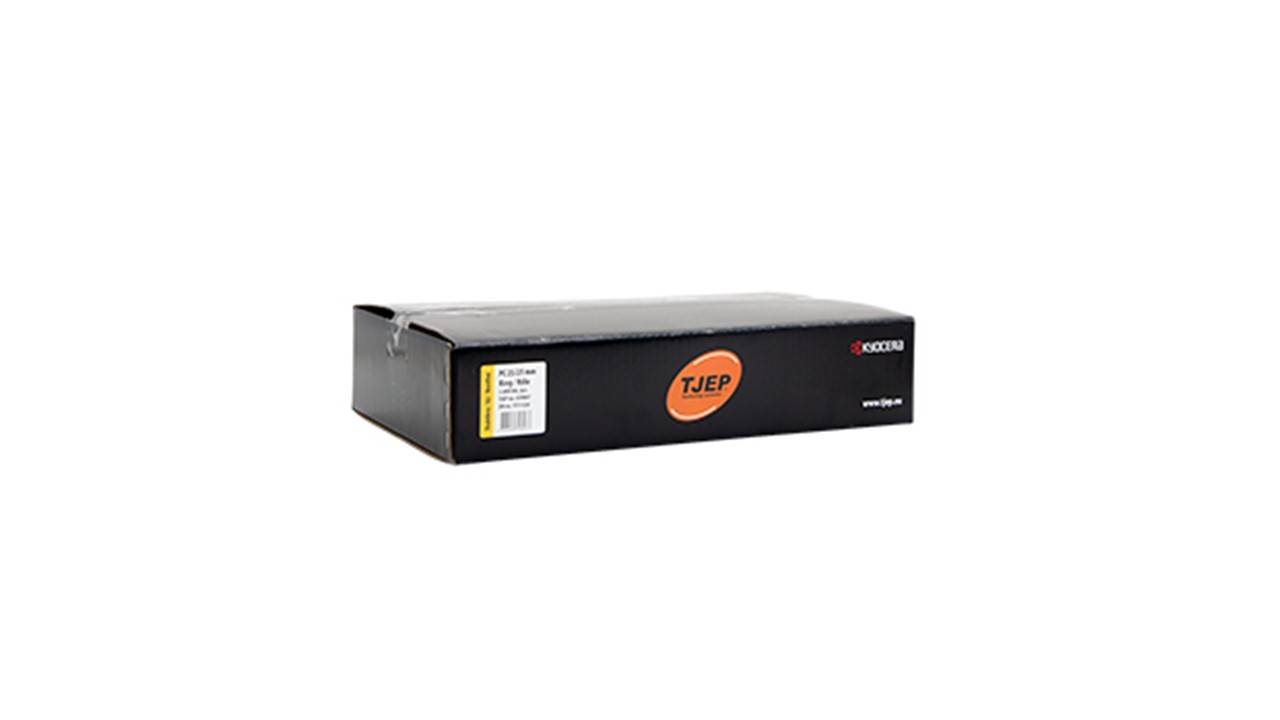 Haftennagel PC 25/25  2,5 x 25 - A2 839807 TJEP